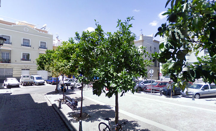 plaza-de-pelicano mar114